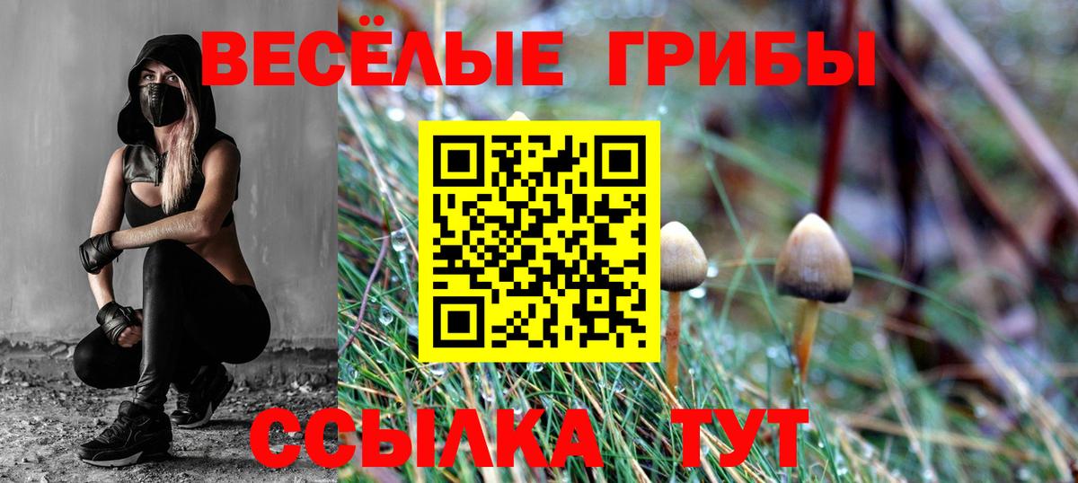 Галлюциногенные грибы GOLDEN TEACHER  как найти   Псилоцибиновые грибы мухоморы  Гусиноозёрск  Вход с VPN 